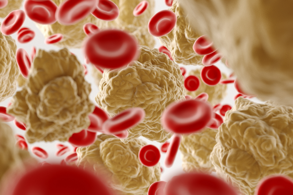 Illustration of cholesterol-related fatty deposits and red blood cells inside a blood vessel.