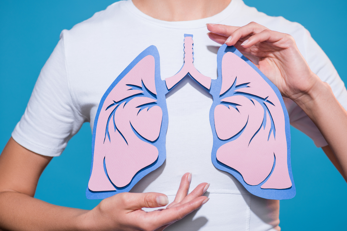 Healthy lungs representing respiratory health and everyday lung protection